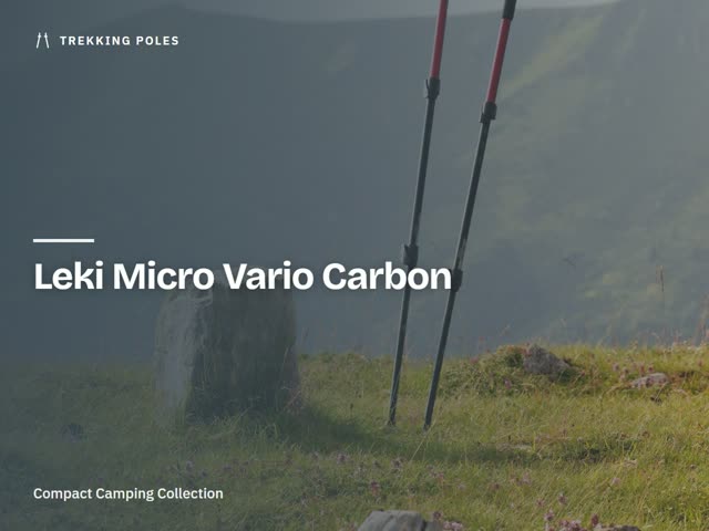 Leki Micro Vario Carbon